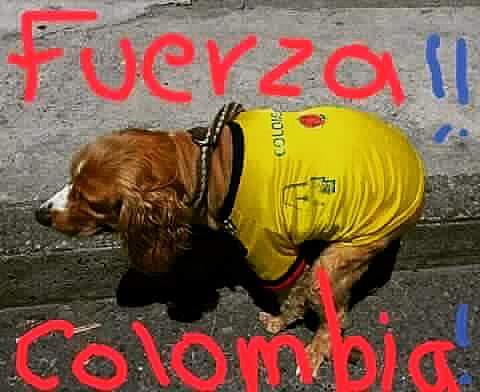 linobruno's tweet photo. @cejaspobladas Fuerza q si se puede ! https://t.co/DCVlrCaslY
