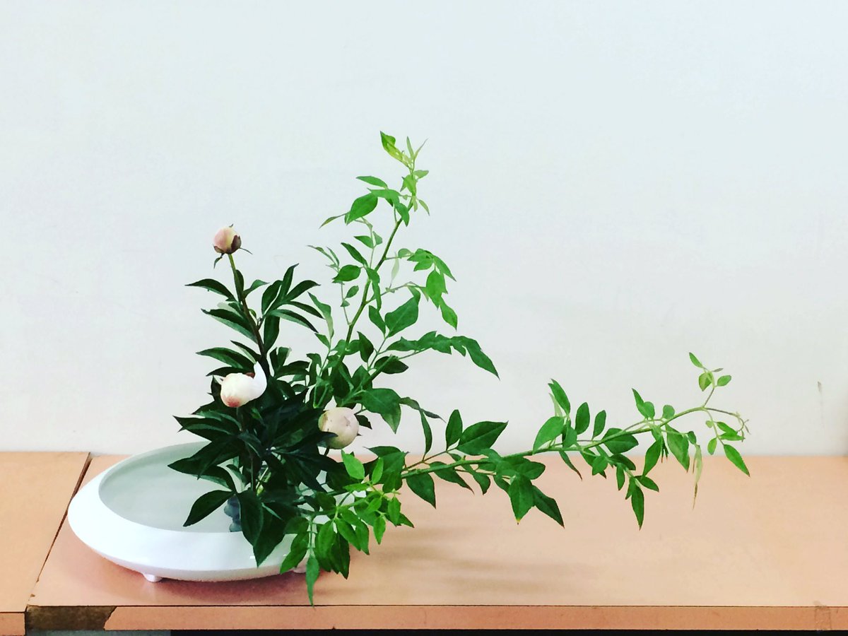 いけばな小原流 伊藤豊扇教室 傾斜型盛花 そけい 芍薬 薫風かおる いけばな 生け花 Ikebana 小原流 Ohararyu 花 Flower 伊藤豊扇教室 華道 盛花 傾斜型