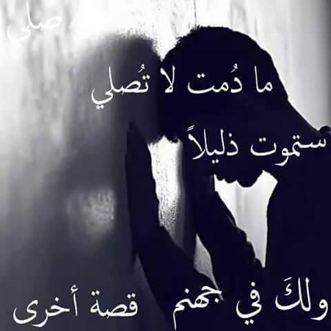 Ahmed Alreani (@alreany20) on Twitter photo 