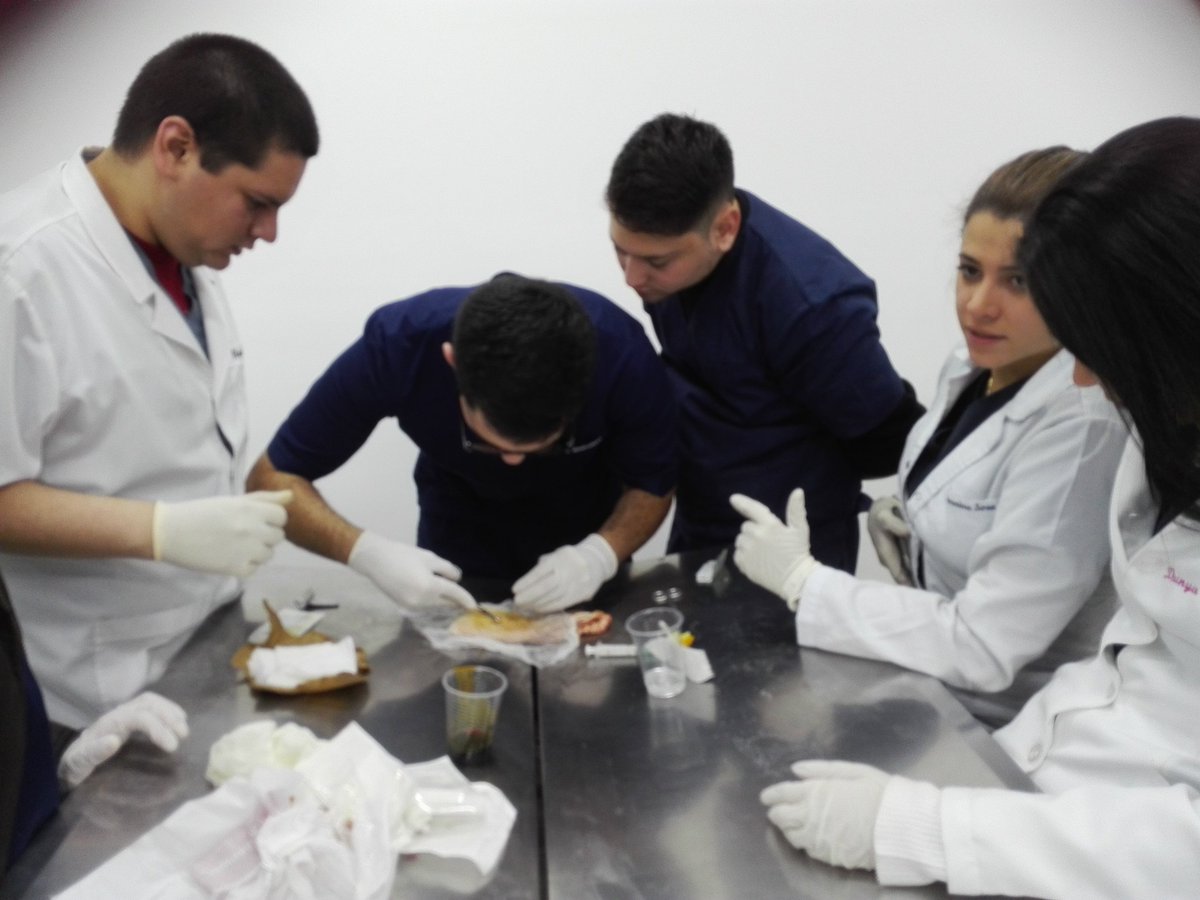 socem_unida's tweet photo. Prácticas de Suturas #SOCEMUNIDA #educacionmedica https://t.co/huwDiBhd5W