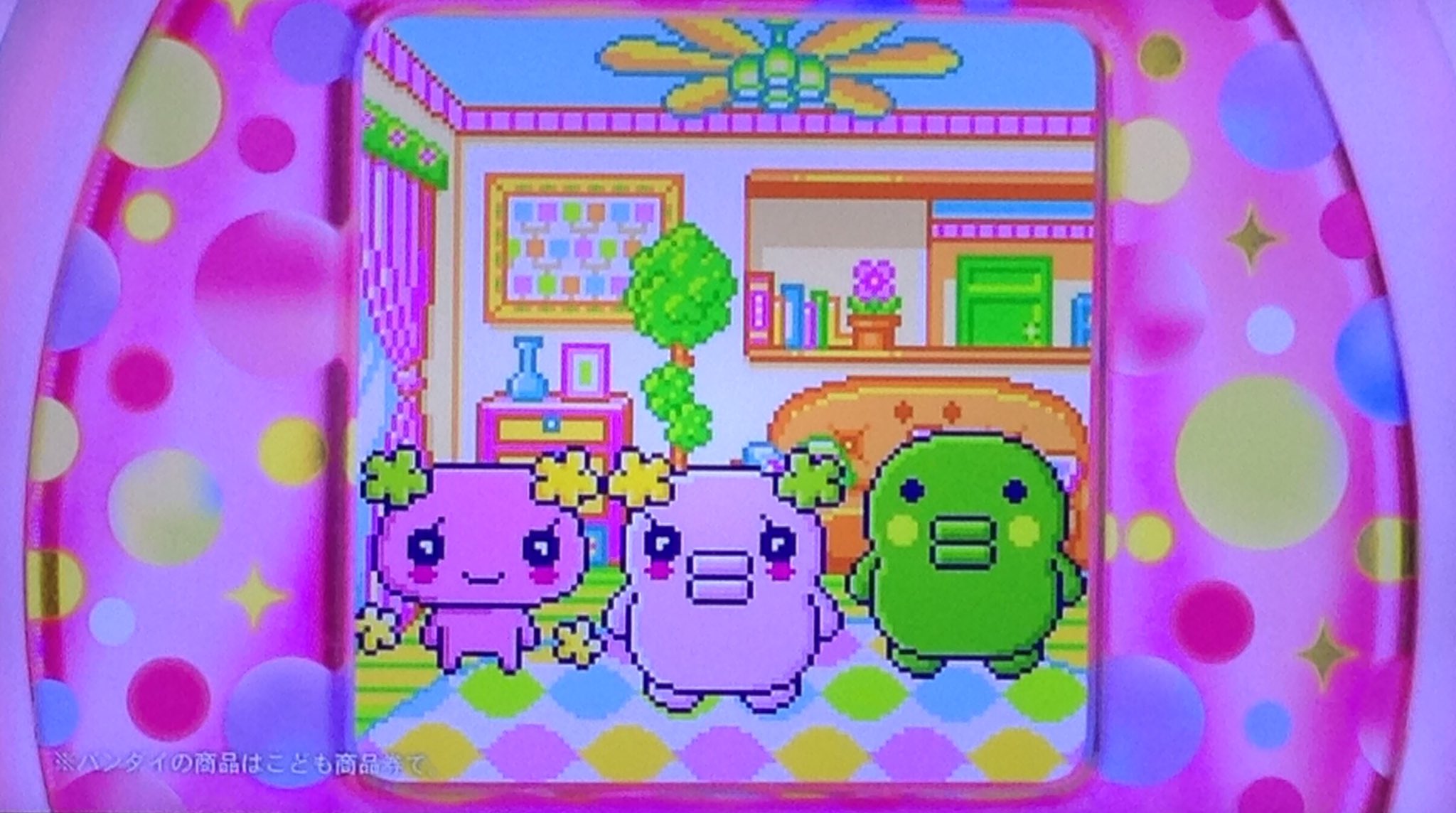 Amazon.co.jp: ごっち わふらわっち めいどっち くちぱっち