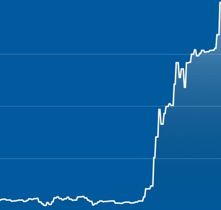 rehgherd's tweet image. best shit to see