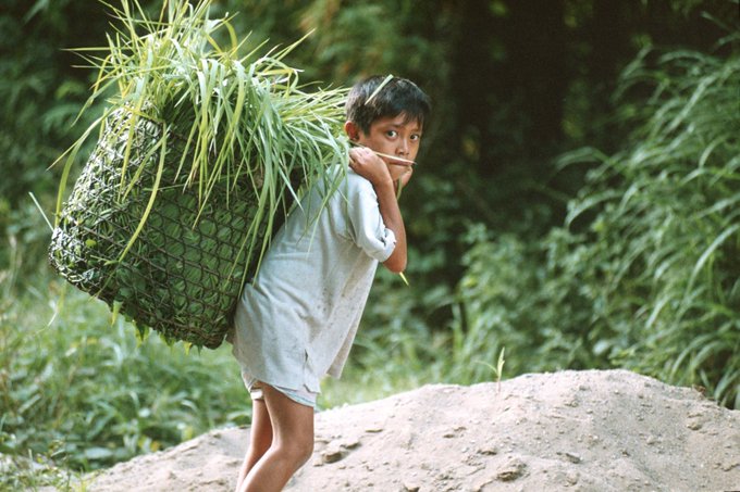 View image on Twitter