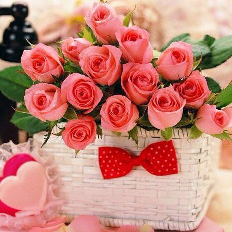 BintAboah22's tweet photo. #سارة_البليهد_35K_متابع الف مبروك سويره ياقلبي فالك المليون 🎊😚👏

@saaraa11435🎀
👆👆👆

#حساب_يستحق_المتابعة تابعوها💝 https://t.co/oroeU2I7je