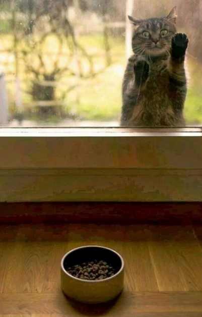 onieronny's tweet image. #harike7 #ramadhan