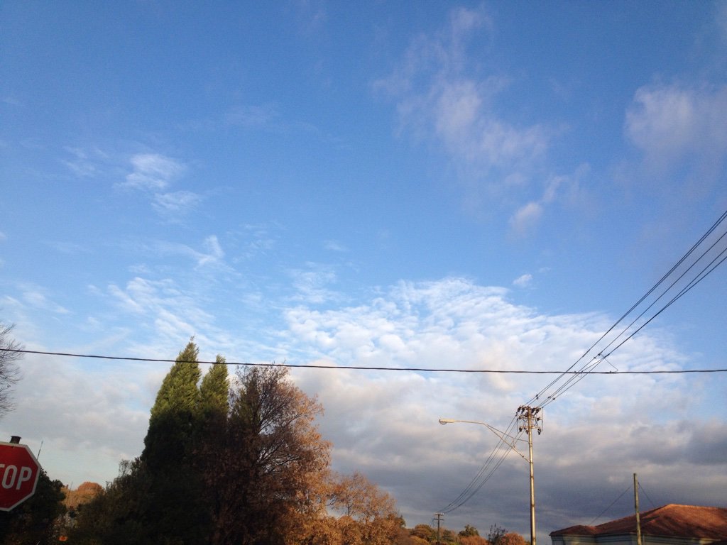 SteerMark's tweet photo. Morning is broken.
7am in the NewWorldDisorder
#UndulatusAsperatus #Chemtrails #Geoengineering #ApocalypticSkies https://t.co/NBMKA7ZFTg