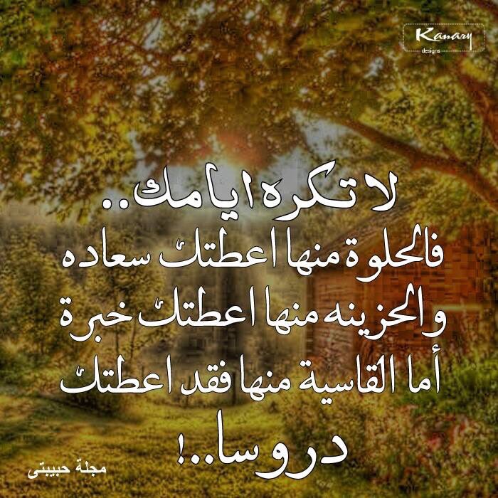 moaml33445's tweet image. 