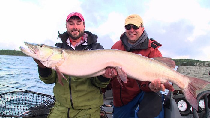 OUTDChannel's tweet photo. Tackling Monster #Muskies in #Ontario! #Fishing | Lindner's #FishingEdge - Today 9aET https://t.co/giDA9KxI7c https://t.co/OOQse4mWLn