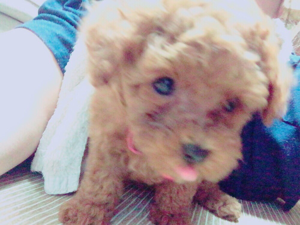 karintoouO9's tweet photo. んふふふふ～💕✨👌🏻💭 https://t.co/xhscs3TUSN