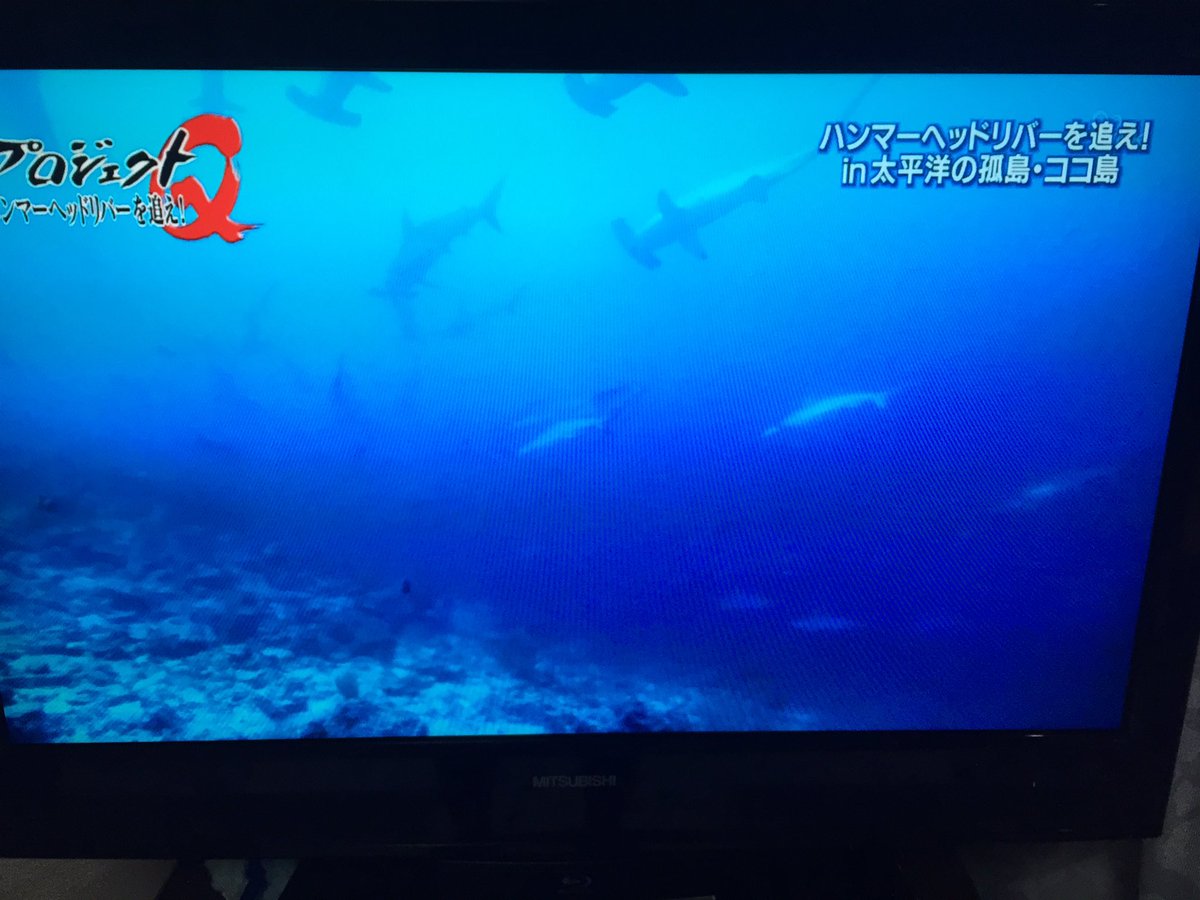 ココ島 Twitter Search ココ島 Twitter Search