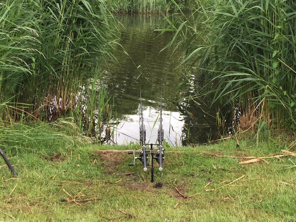 Well new water bigger fish come on the 30s 🎣🎣