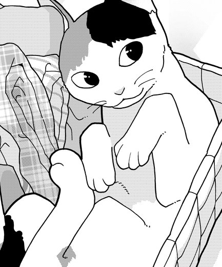 ねこねこ横丁にて、「ねこびたし」35話が更新されました。『避妊する』https://t.co/4qC7wt6Fbwコミックス2巻は7月20日に発売です! 