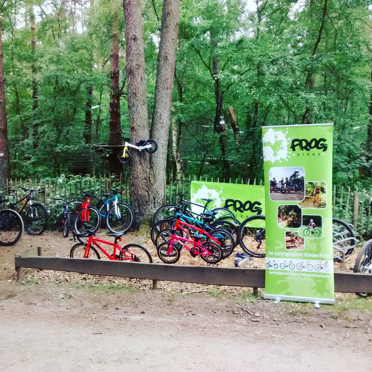 FrogbikesNL's tweet photo. Kom ook naar het @klimbosermelo  fiets testdag van @fietscentraal met een heleboel @frogbikes kom ook langs! https://t.co/X9wkxuXKb0