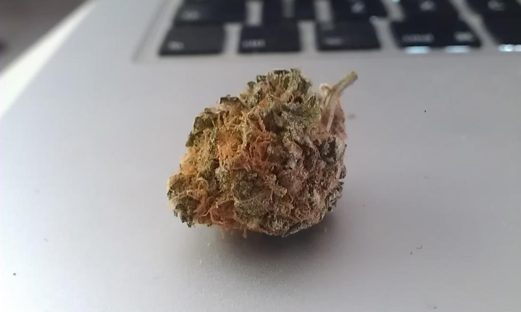 theweedchef tweet picture