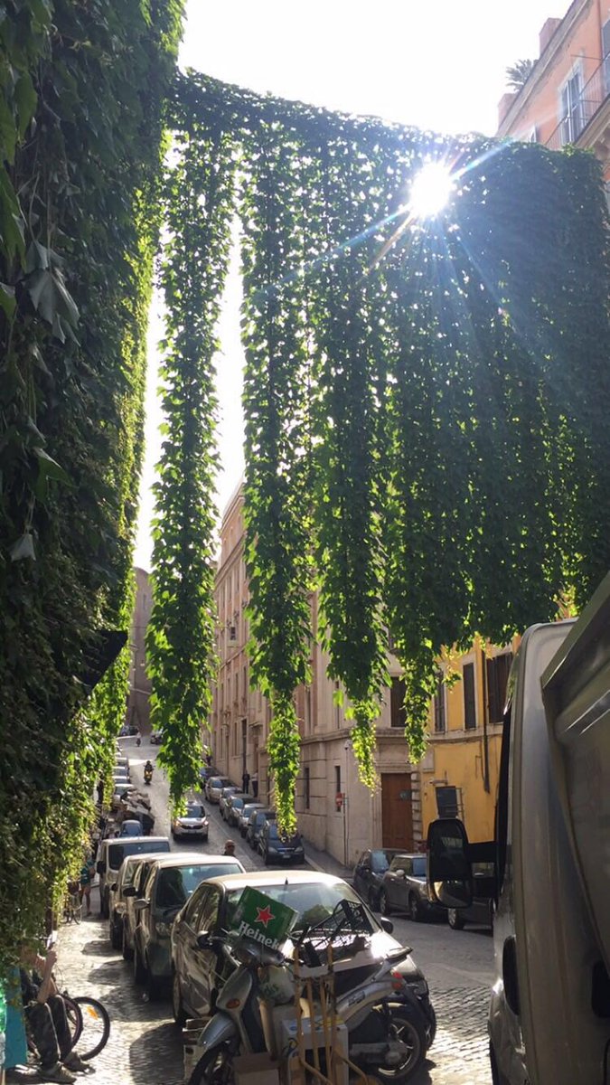 RomErasmus tweet media