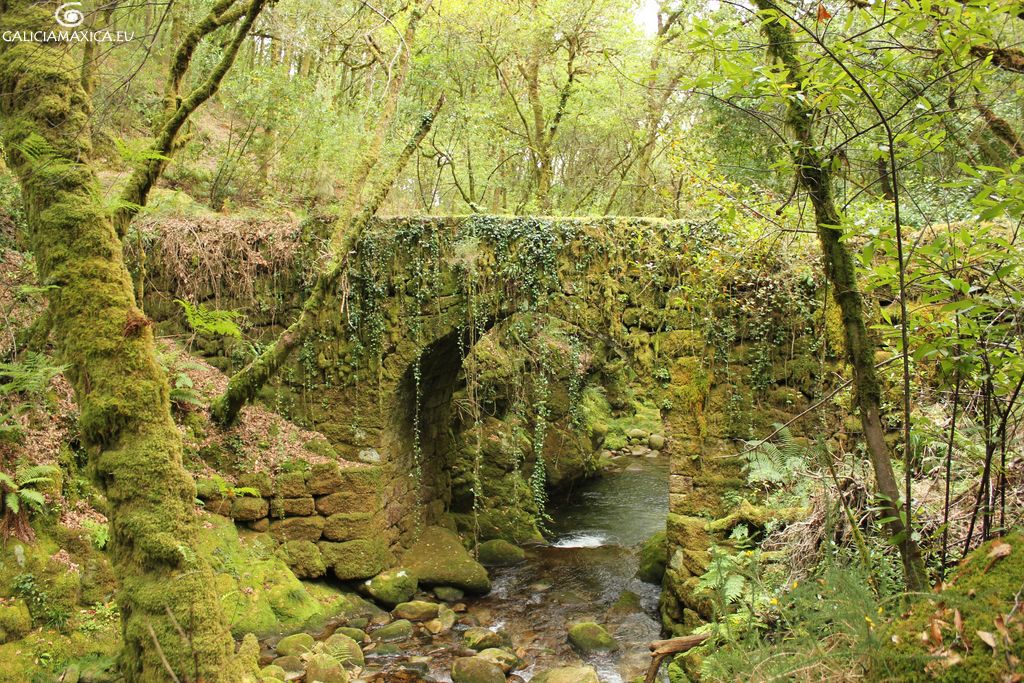 #Felizdomingo hay lugares q cuando los descubres, los visitas una y otra vez, este es uno #Galicia <a href="/GaliciaMaxica/">Galicia Máxica</a>