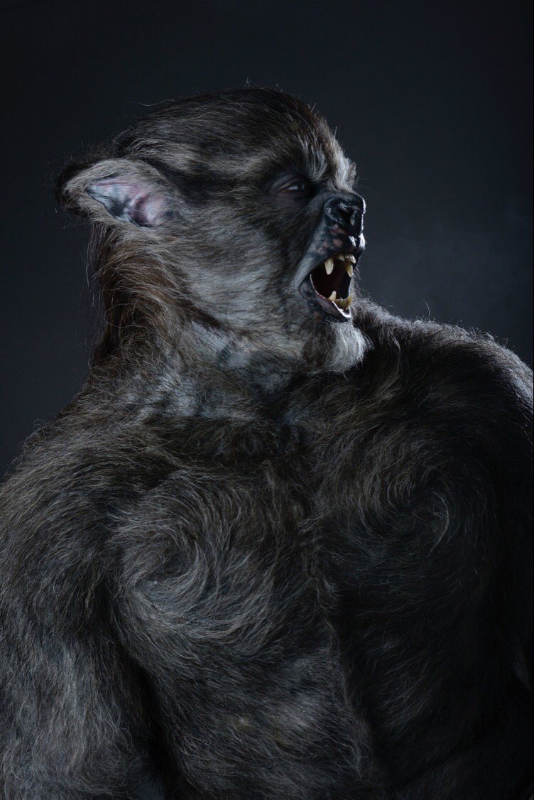 wolf_monkey's tweet photo. Yeah it's that time of the night again - #WerewolfTime! Wait no - I mean #HusbandTime - night guys! 😘 https://t.co/oRy1j8Xhnk