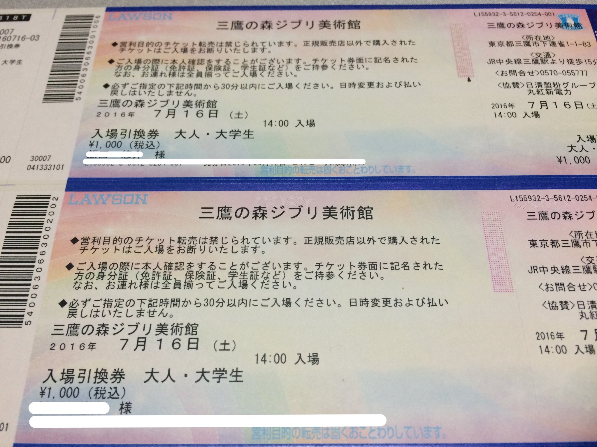 ぺち ジブリ Pechi Ghibli Twitter