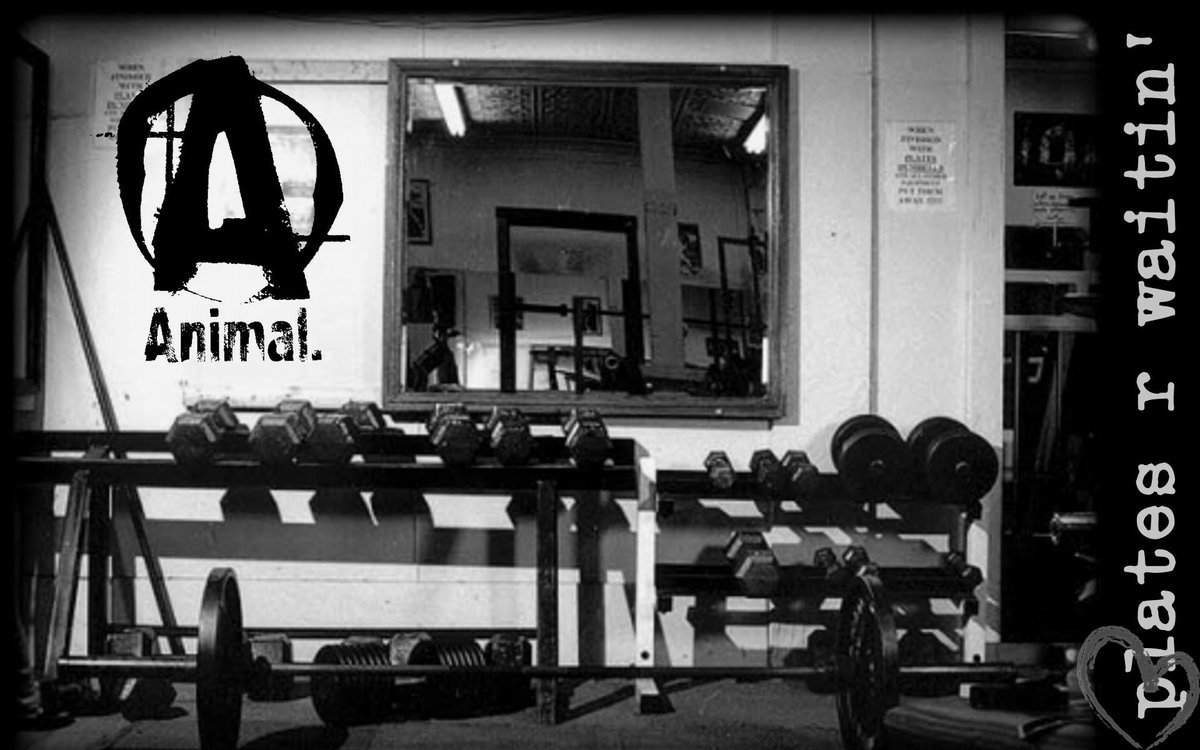 rdblrvo's tweet photo. get protein, find recipes, workouts https://t.co/lHqvdv3rjY #Bodybuilding #motivation #gym #fitness #workout https://t.co/fnsdFGIdfT