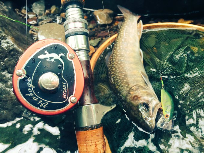 イワナのtwitterイラスト検索結果 古い順