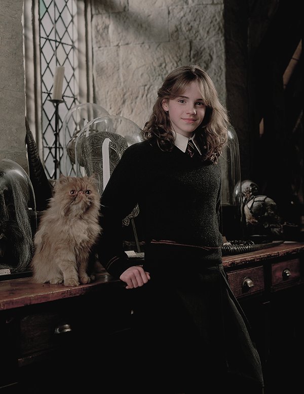 devotedtopeeta's tweet photo. HERMIONE IS SO FETUS HERE PLEASE LET ME CRY FOREVER https://t.co/LWFcsGSKuA