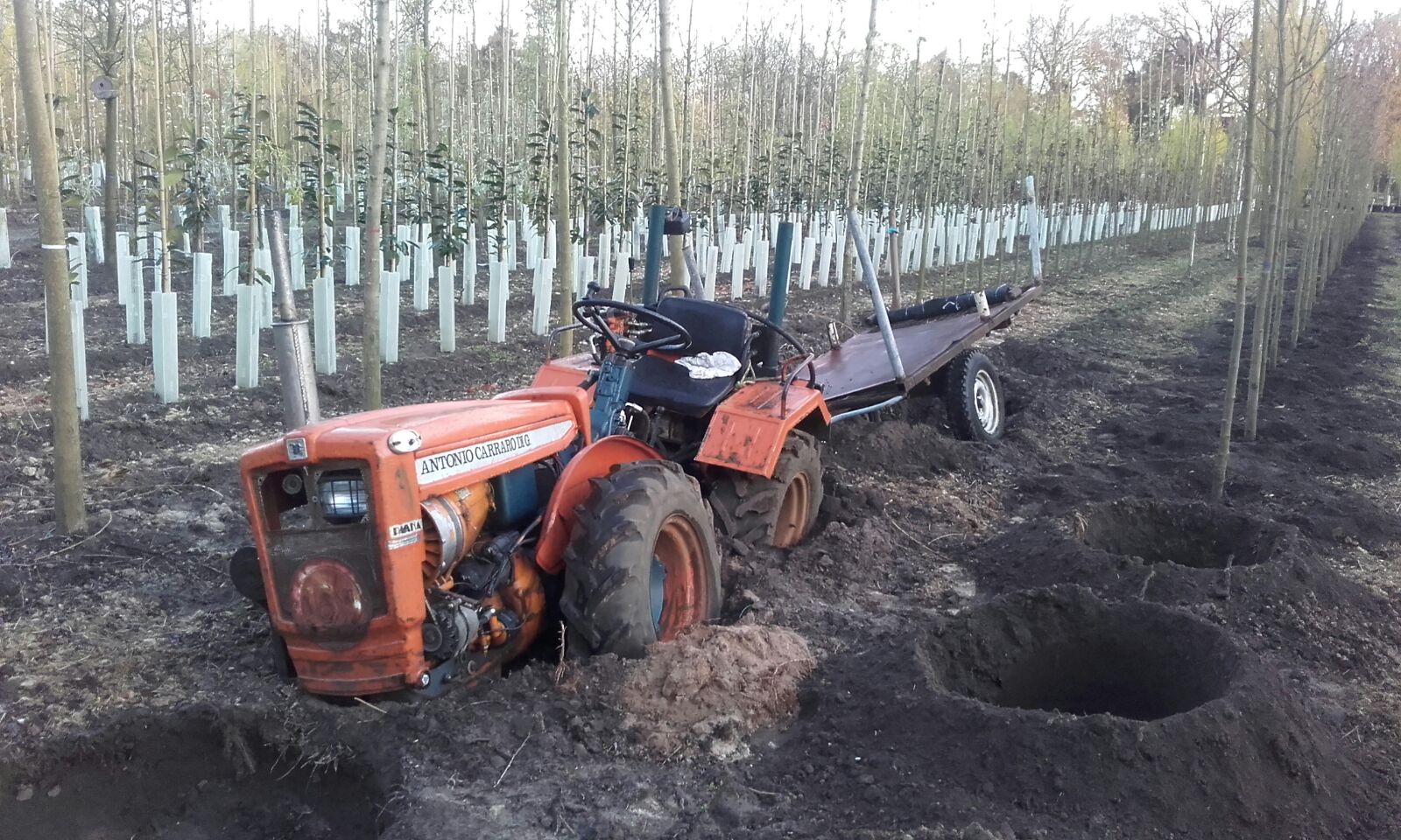 houten Helderheid Carry Boomkwekerij on Twitter: "Het voordeel van een kniktractor  https://t.co/Po0ctREWzE" / Twitter