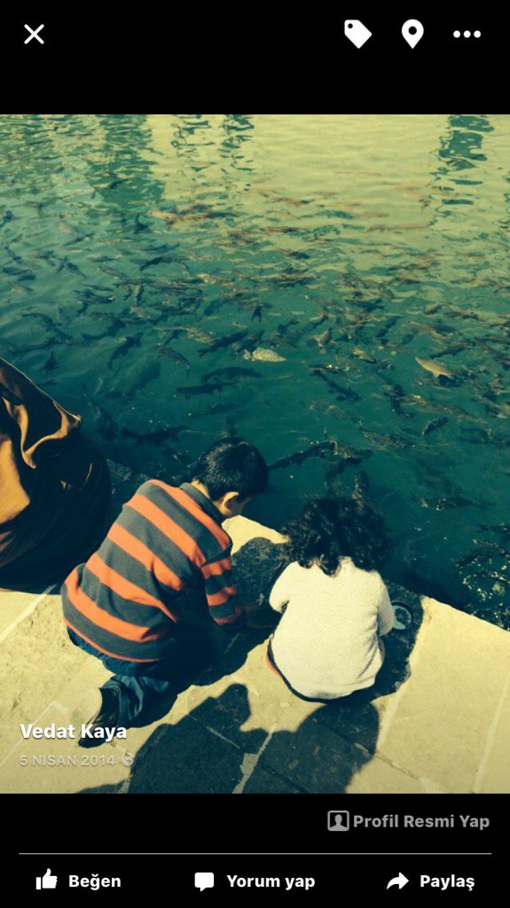 Murat Kaya (@ka05443446764) on Twitter photo 