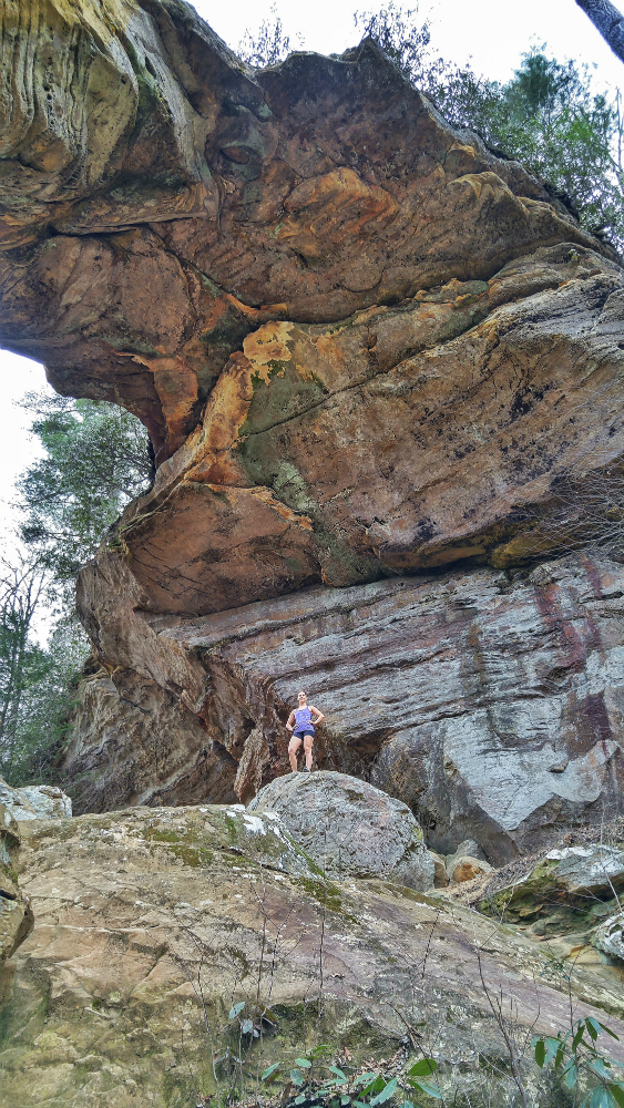 nicki_bruckmann's tweet photo. Last day to save on our Backpacking workshops in Red River Gorge. #ExplorerChick https://t.co/pDRMrwXNms https://t.co/Qh078HpICJ