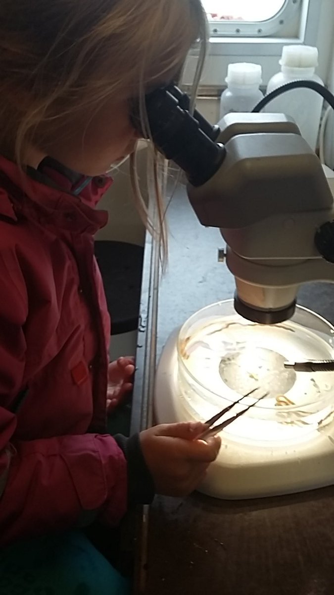 Deze week is iedereen nog #welkom  op de Navicula <a href="/OerolFestival/">OerolFestival</a> <a href="/NIOZnieuws/">@NIOZnieuws</a>