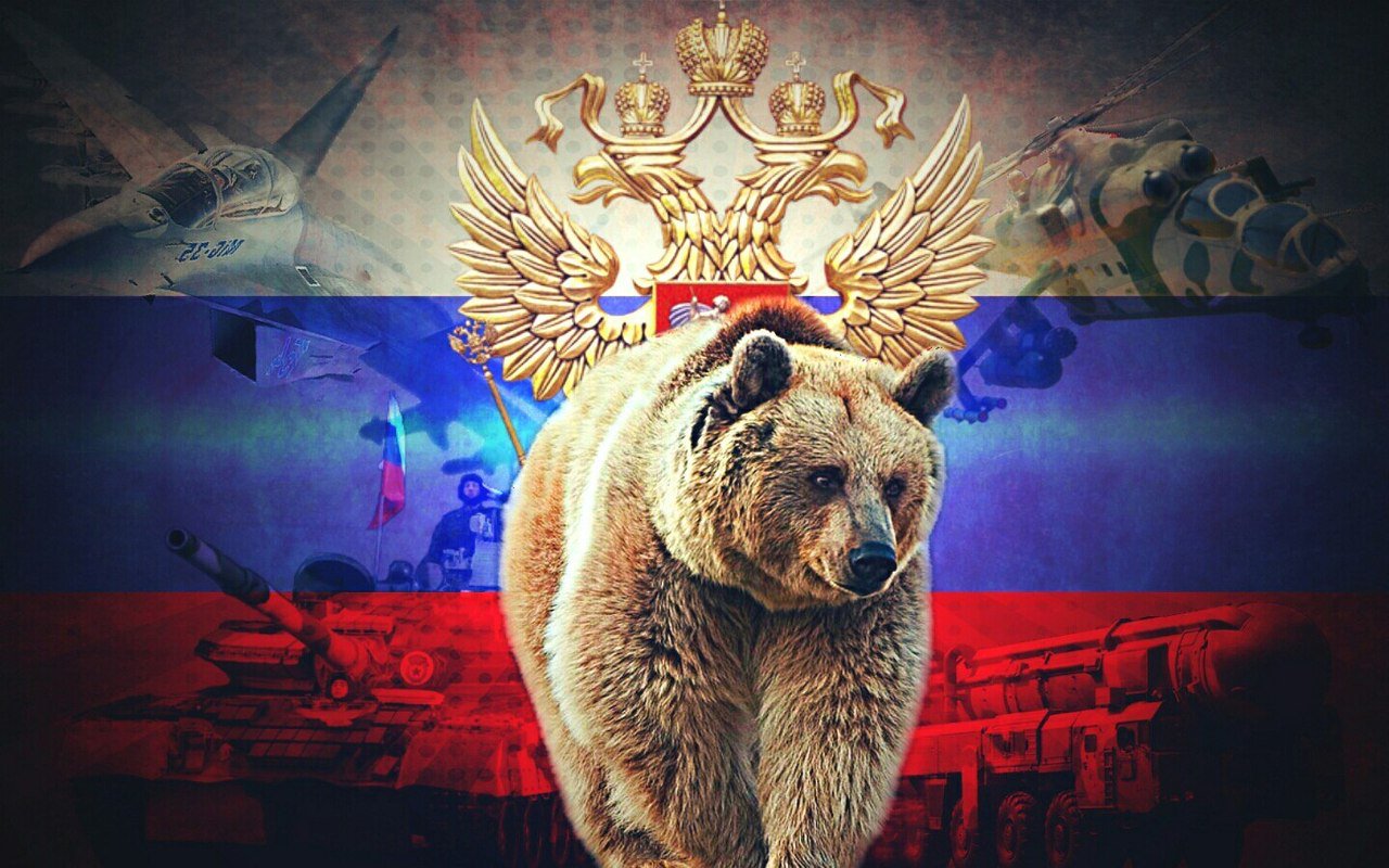 Картинки на телефон россия медведь