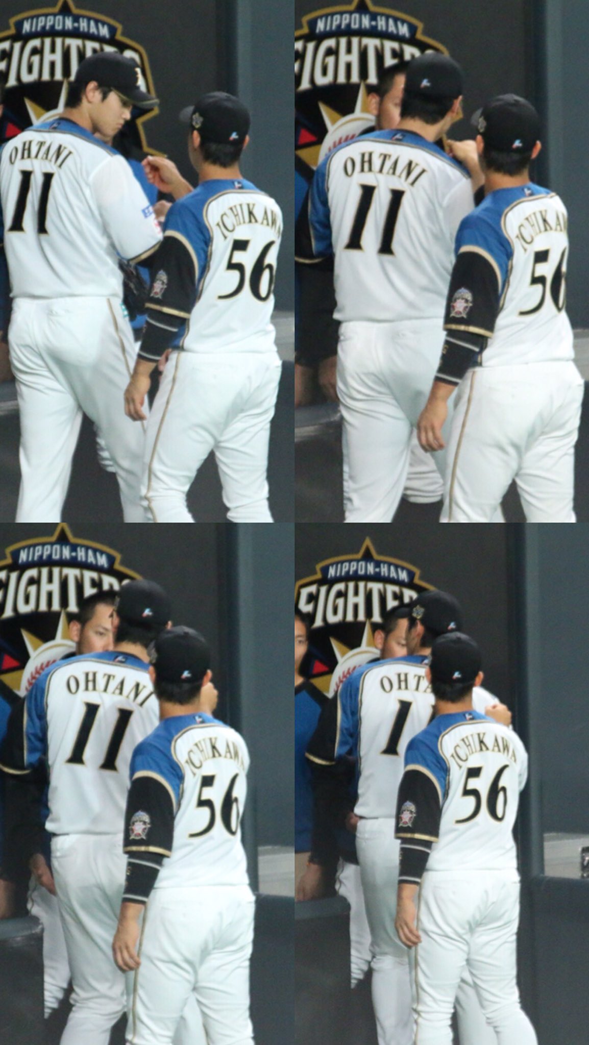 大谷翔平 2013 ハイライトフォト No.330 日本ハム 球団公式写真 大谷翔平 2013 ハイライトフォト No.330 日本ハム 球団公式写真