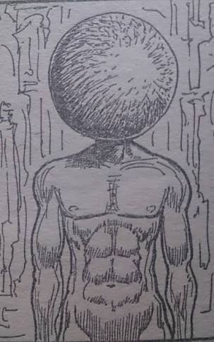 ハンターハンター 暗黒大陸の五大災厄とは それぞれの正体や特徴を徹底調査 3ページ目 Selvy