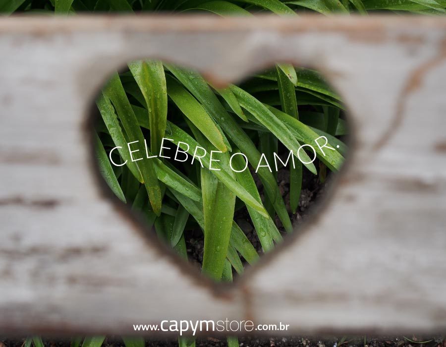 capymstore's tweet photo. Feliz Dia dos Namorados! #capymstore #diadosnamorados #love https://t.co/KvQlXQ6FiA