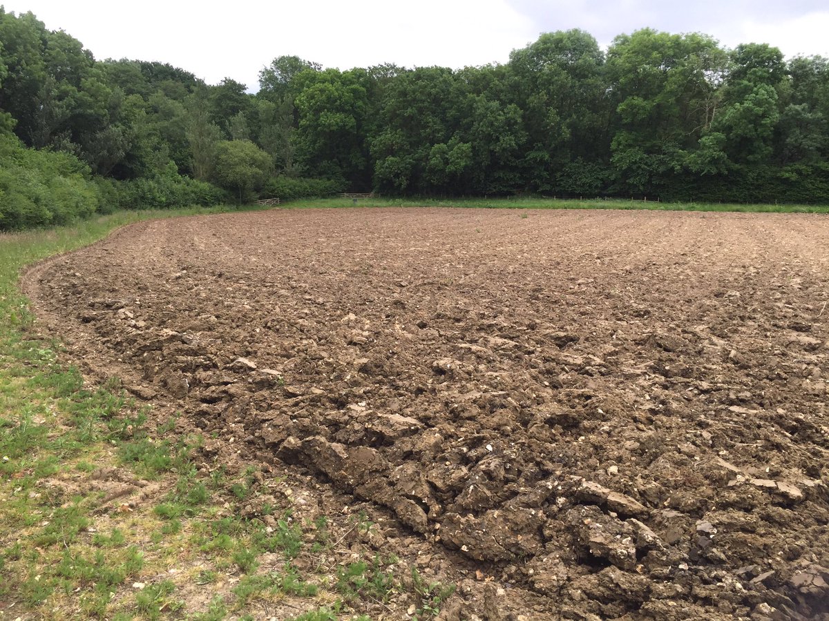 Recently ploughed and ready for the power Harrow