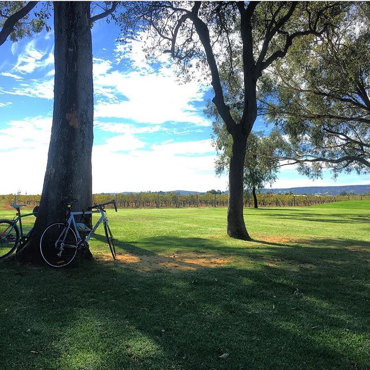 Oakover Grounds tweet media