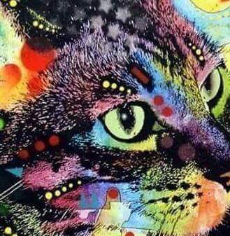 Julien52485240's tweet image. PTG