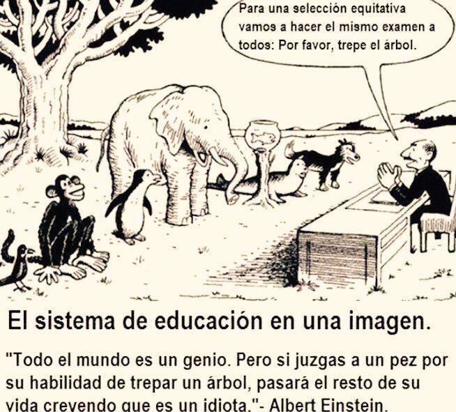 isaacBIOvega's tweet photo. Todos somos genios pero si juzgas a un pez por su habilidad para trepar a un árbol toda su vida creerá que es idiota https://t.co/wBHvyY0bJH