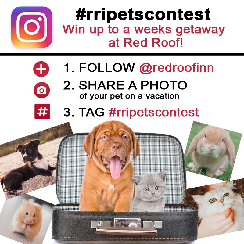 AllPetVoices's tweet photo. BIG PHOTO CONTEST! @redroofinn prizes Win a week @redroofinn #RRIPETSCONTEST here: https://t.co/LTKOxs8qAZ https://t.co/TnA0sqXmqu