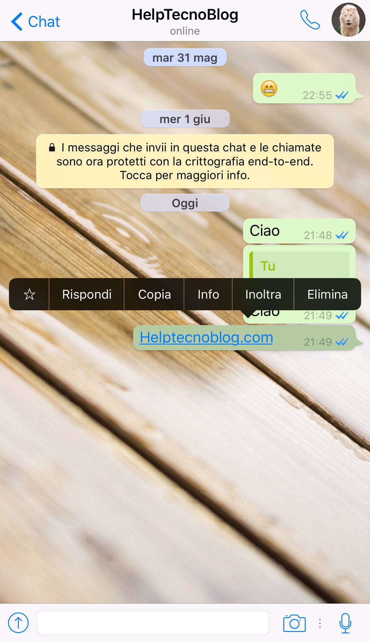 Come quotare un messaggio su Whatsapp