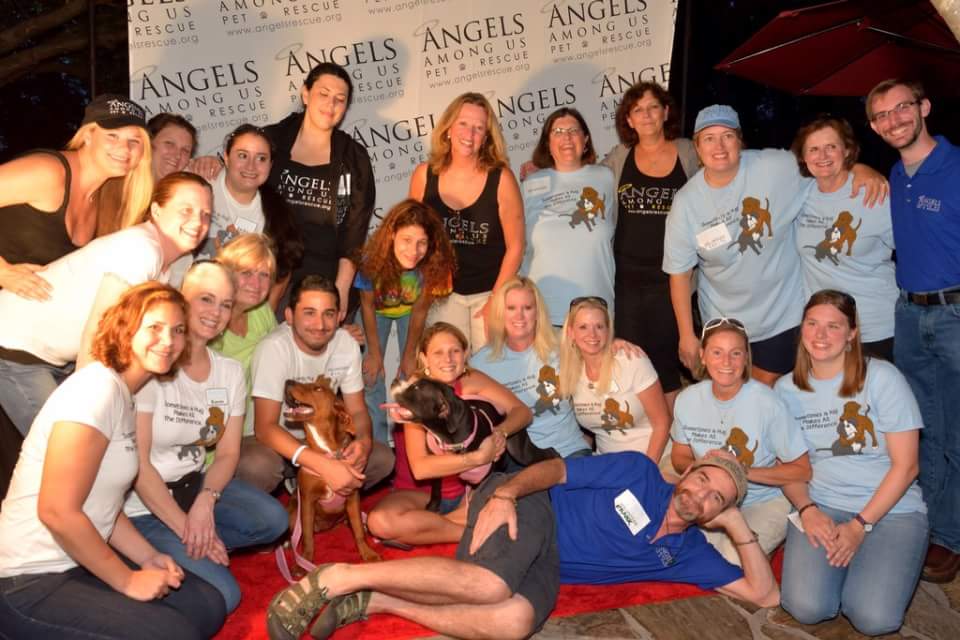 angelsrescue's tweet photo. Just reminiscing a bit, Who remembers the #HuggingDogs??? Love our #AngelNation! We have the best followers ever!!!! https://t.co/c5akl0PXia