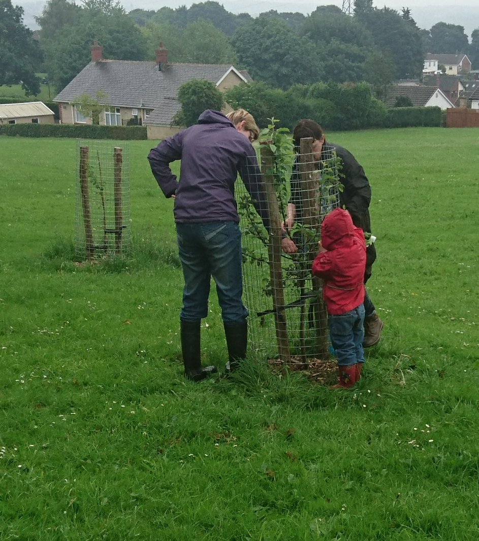 FarsleyOrchard's tweet image. Tree inspection