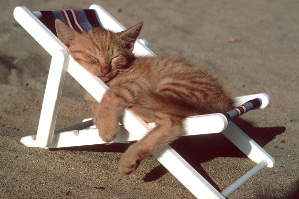 Dorothy_Perkins's tweet image. Exactly what Sundays are for...