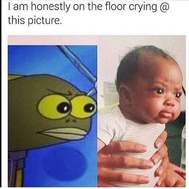 thatssomeshit1's tweet photo. https://t.co/CHL07nT0wF