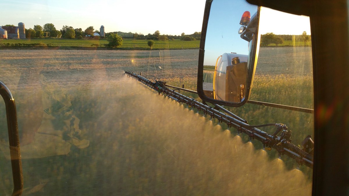 farmerschneck's tweet photo. #plantedgreen #leftgreen #latetermination #trial #notconvinceditwrong #ontag #farm365 #drought16over #alwayslearning https://t.co/xUmWMxAC5L