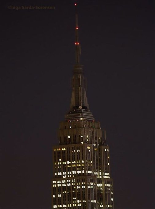 View image on Twitter