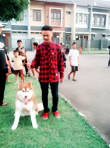 Selamat sahur sayangku :* . 

Makasih yaa udah sering bangunnin neng nya sahur . Imissyou sayangku:* <a href="/eriolott/">ED</a>