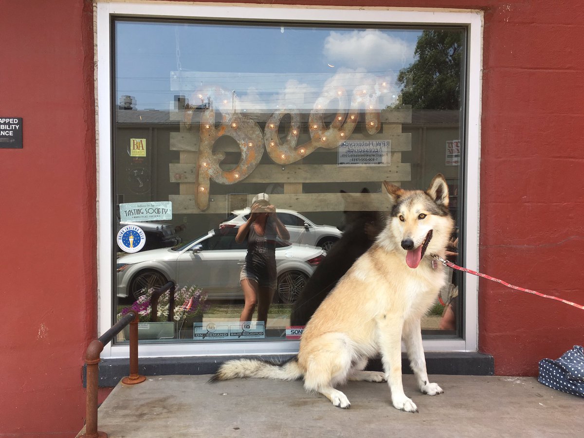 RadBrewCo's tweet photo. Fallon getting ready for the party! #dogsofflat12 https://t.co/EefRw71D8n