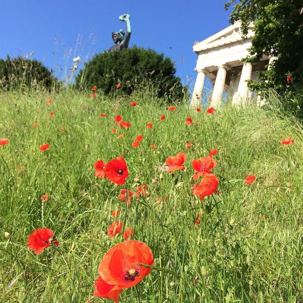 Jenny Lachs (@square_hippie) on Twitter photo My dad always says nowhere is there bluer sky than in Munich. On days like these I can bel… ift.tt/28uYBoj My dad always says nowhere is there bluer sky than in Munich. On days like these I can bel… ift.tt/28uYBoj