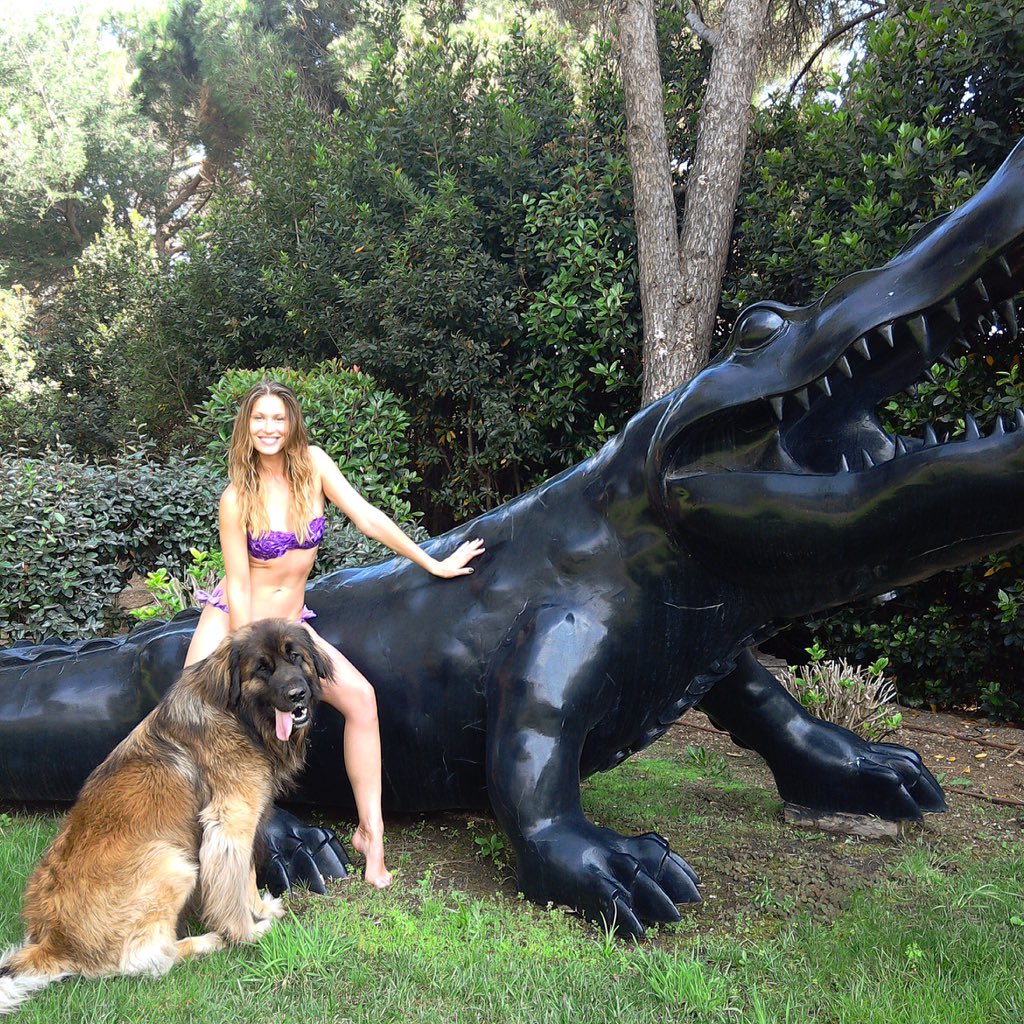 Olga Kent (Calpajiu) tweet media