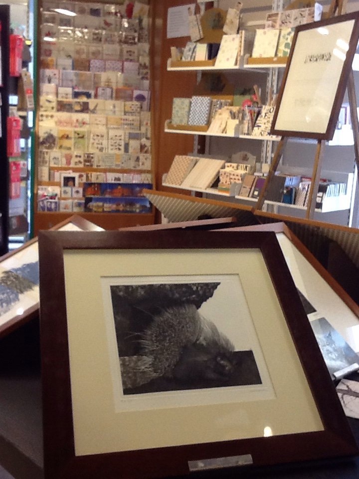 TADTreviso's tweet photo. Libreria Canova e il maestro Xavier De Maistre https://t.co/t0JATsh6f7